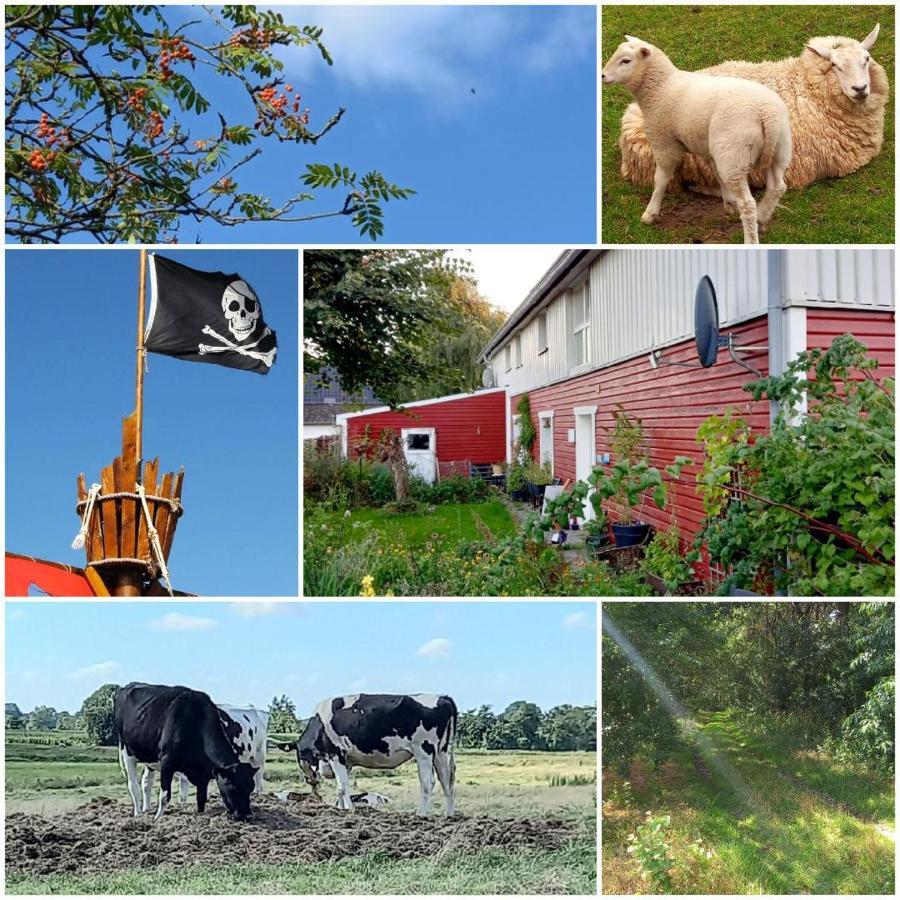 Piratennest Nord Bordelum Extérieur photo